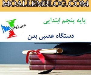 درس پژوهی علوم دستگاه عصبی بدن پایه پنجم