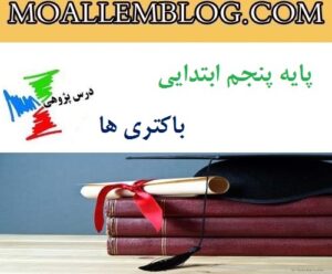 درس پژوهی باکتری ها پایه پنجم