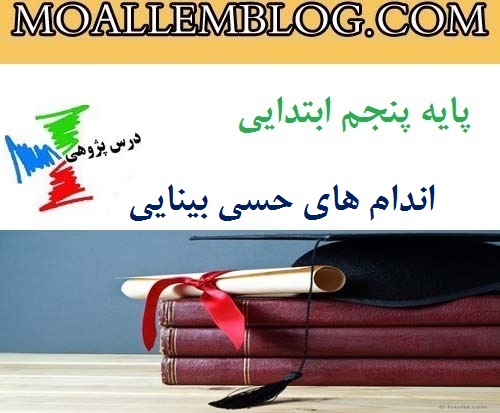 درس پژوهی اندام های حسی بینایی پایه پنجم