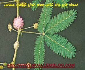 نمونه طرح جابر کلاس سوم