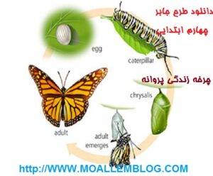 دانلود طرح جابر چهارم ابتدایی