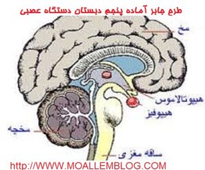 طرح جابر آماده پنجم دبستان