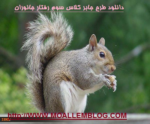 دانلود طرح جابر کلاس سوم