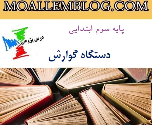 درس پژوهی علوم دستگاه گوارش پایه سوم