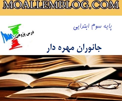 گزارش درس پژوهی کلاس سوم