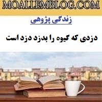 نمونه زندگی پژوهی برای معلمان