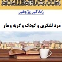 زندگی پژوهی ابتدایی