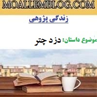 نمونه زندگی پژوهی کامل