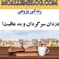 مقاله برگزیده زندگی پژوهی