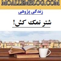 نمونه مقاله زندگی پژوهی