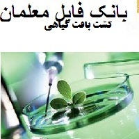 کشت بافت گیاهی