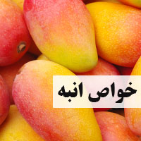 طرح جابر خواص انبه